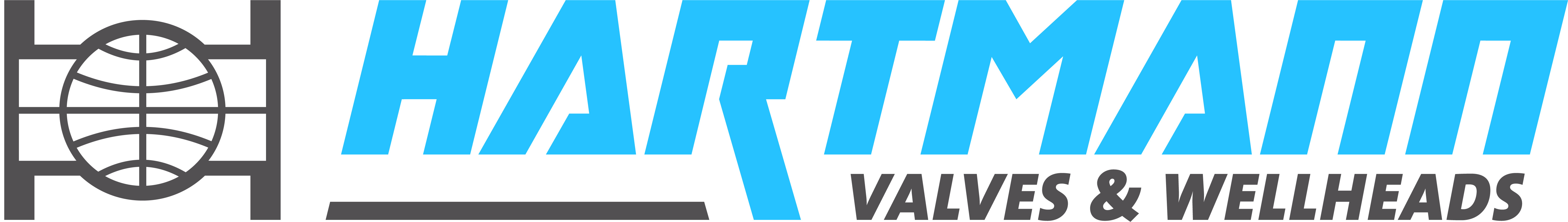 Logo Hartmann Valves GmbH